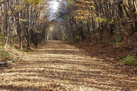Gandy Dancer State Trail in Fall
