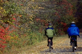 Bikers on Old Abe State Trail