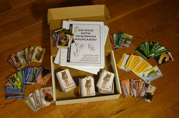 Go Wild With Wisconsin Wildcards! kit for educators.