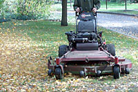 Man pushing a mulching lawn mower