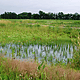Ephemeral Pond