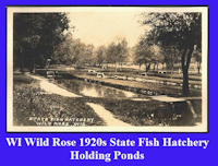 Wild Rose Fish Hatchery 1920
